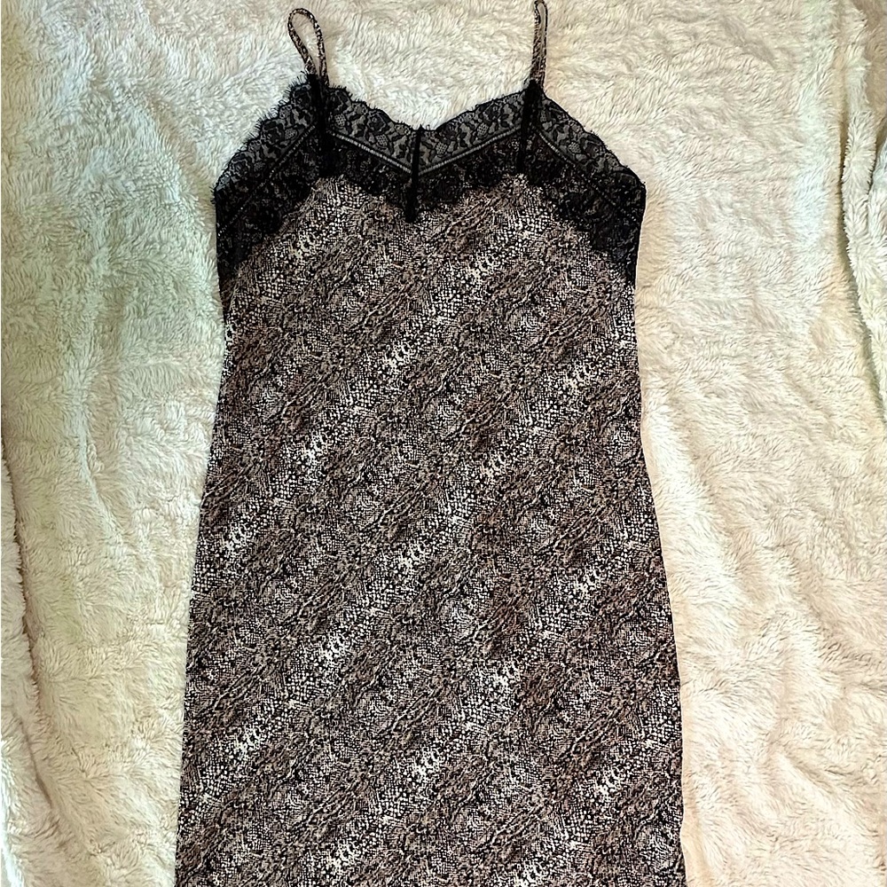 Vylette Print Dress